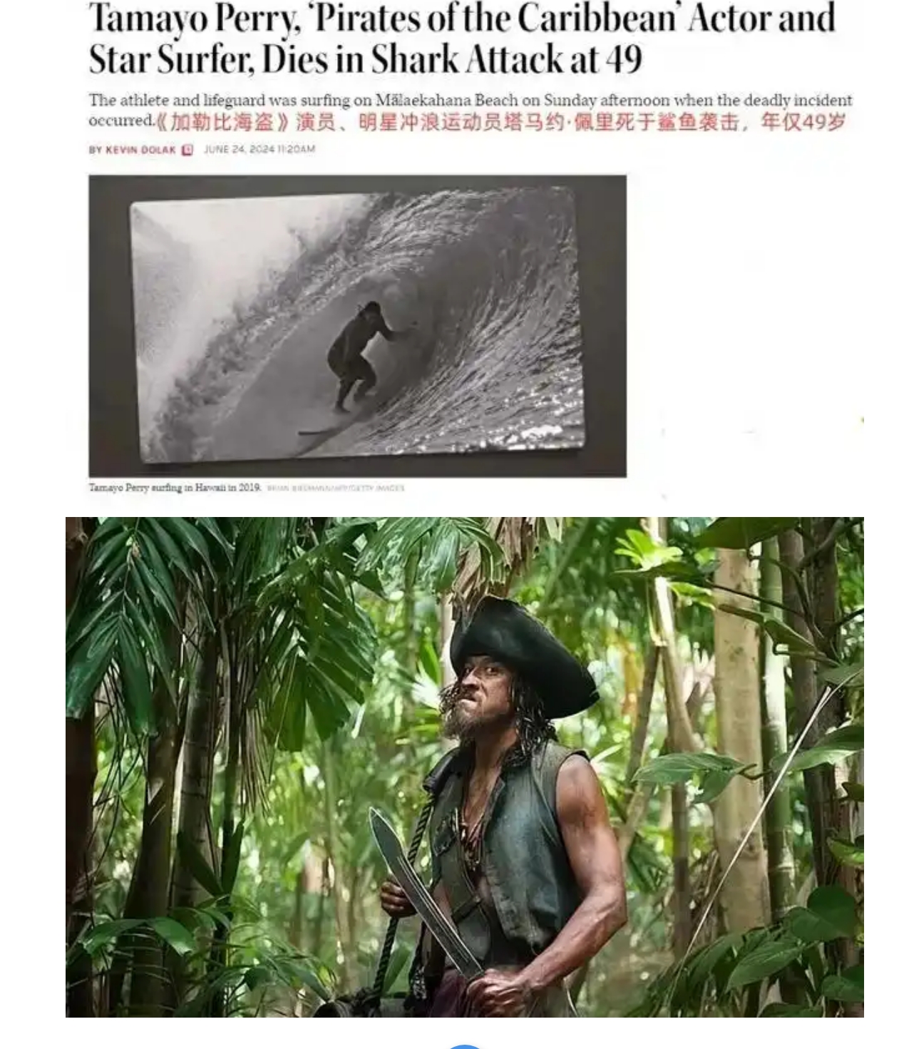 《加勒比海盜》演員佩里沖浪時(shí)遭鯊魚(yú)攻擊身亡